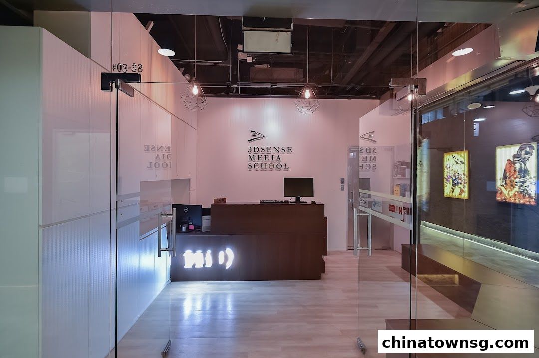 3dsense Media School