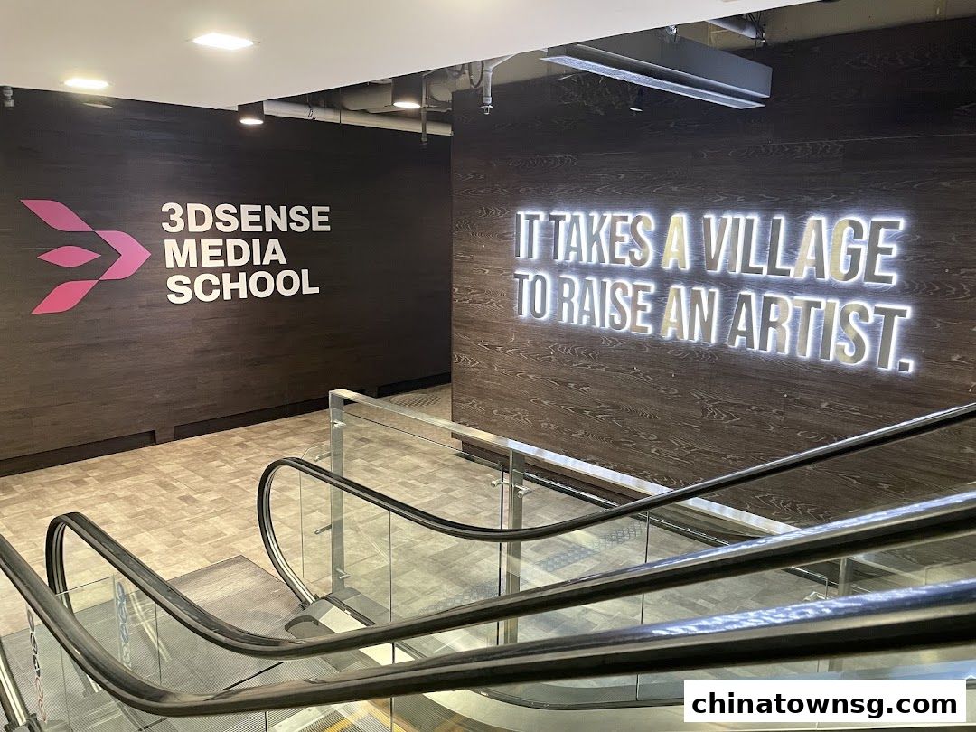 3dsense Media School