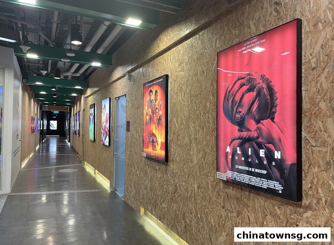 3dsense Media School