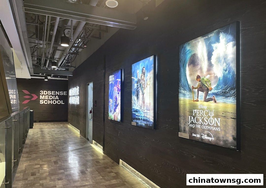 3dsense Media School