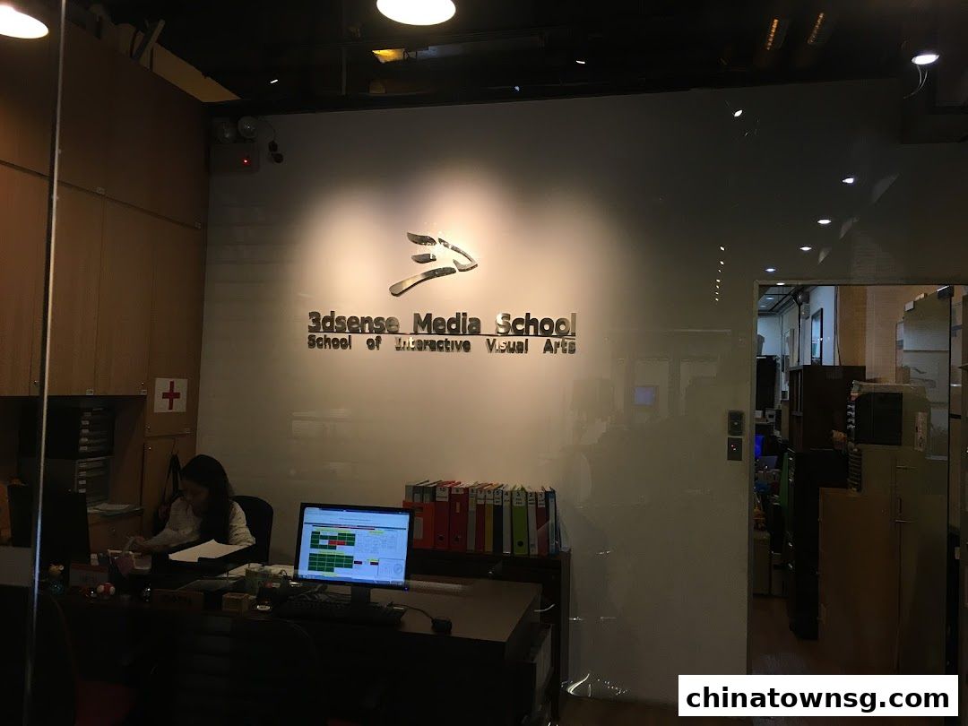 3dsense Media School