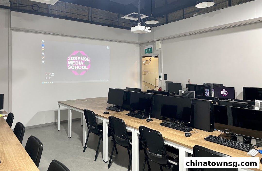 3dsense Media School