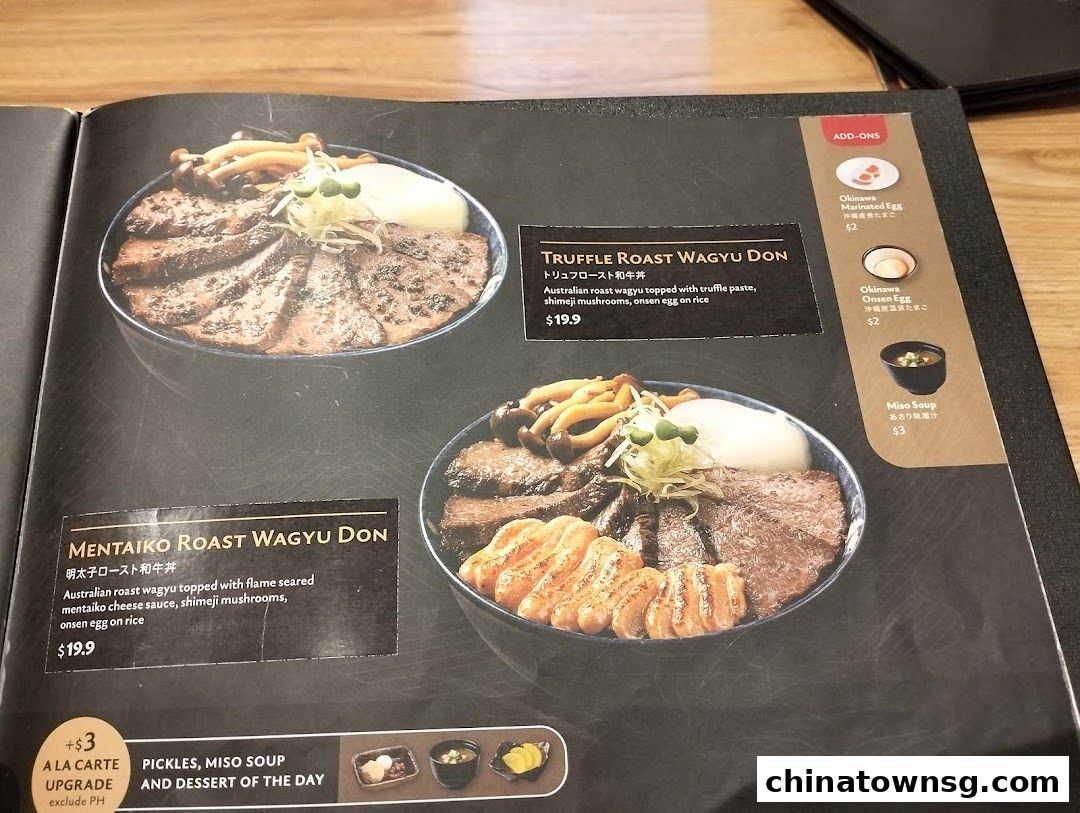 Aburi-EN Chinatown Point