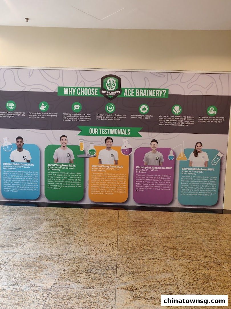 Ace Brainery Pte Ltd