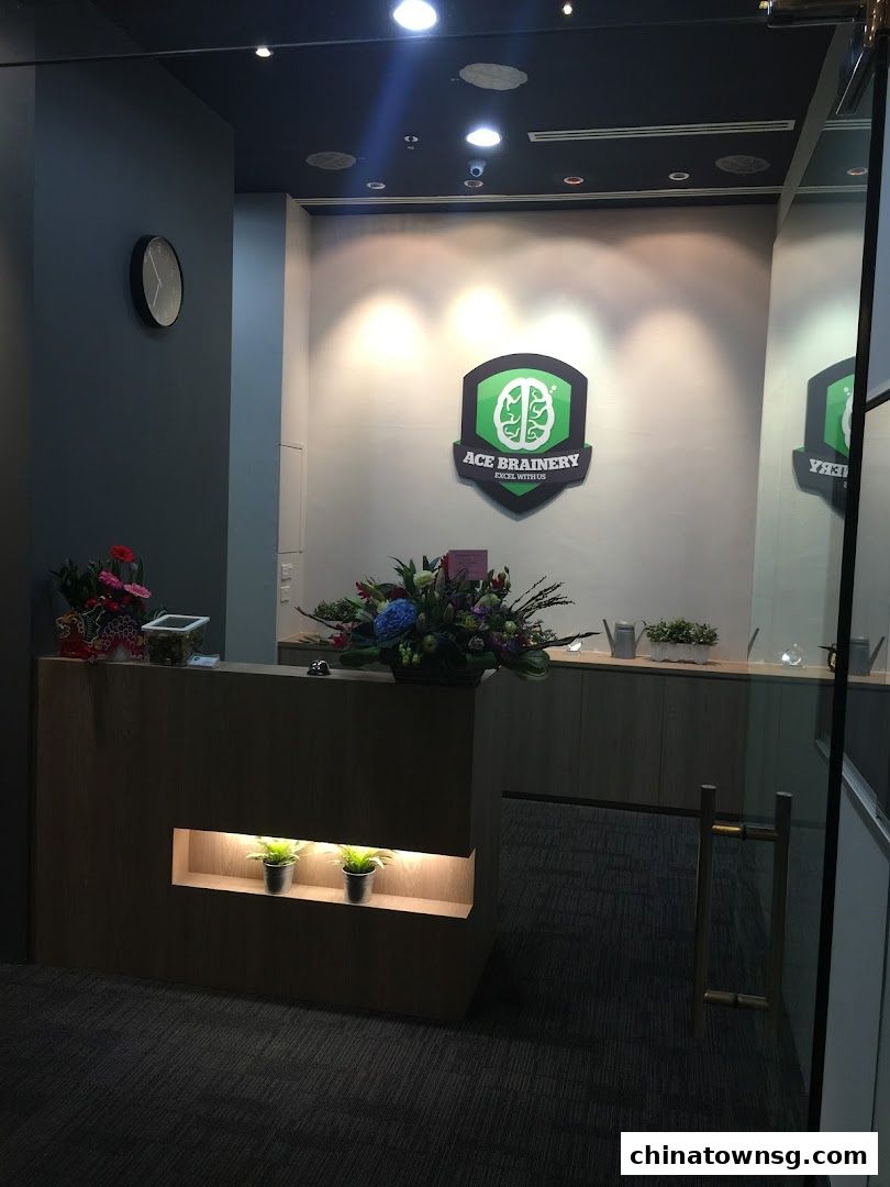 Ace Brainery Pte Ltd