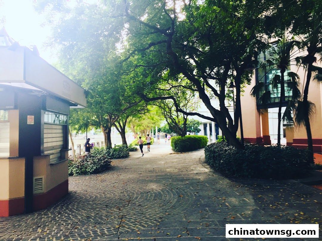 BODIK Singapore ボディーク