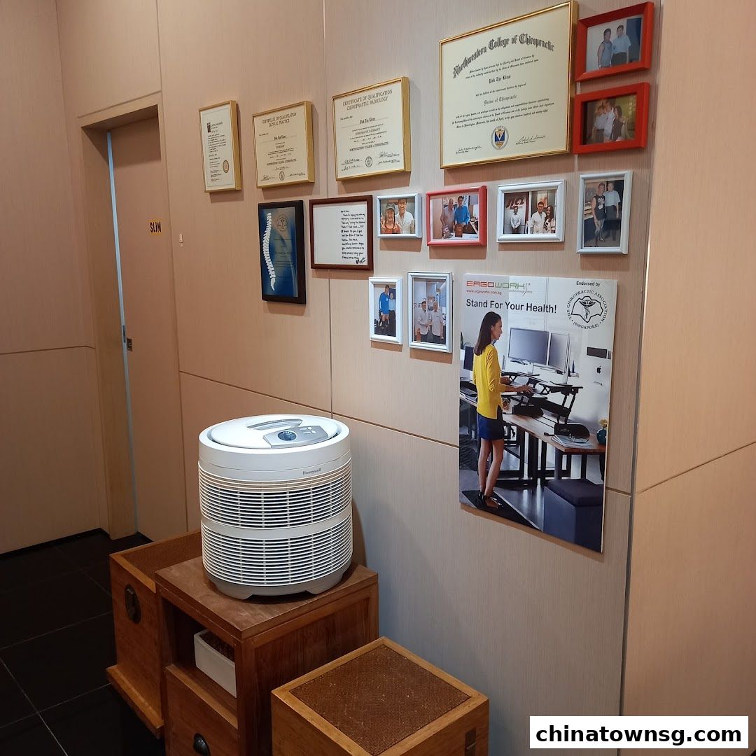 Chiropractic Health and Wellness Clinic Pte Ltd