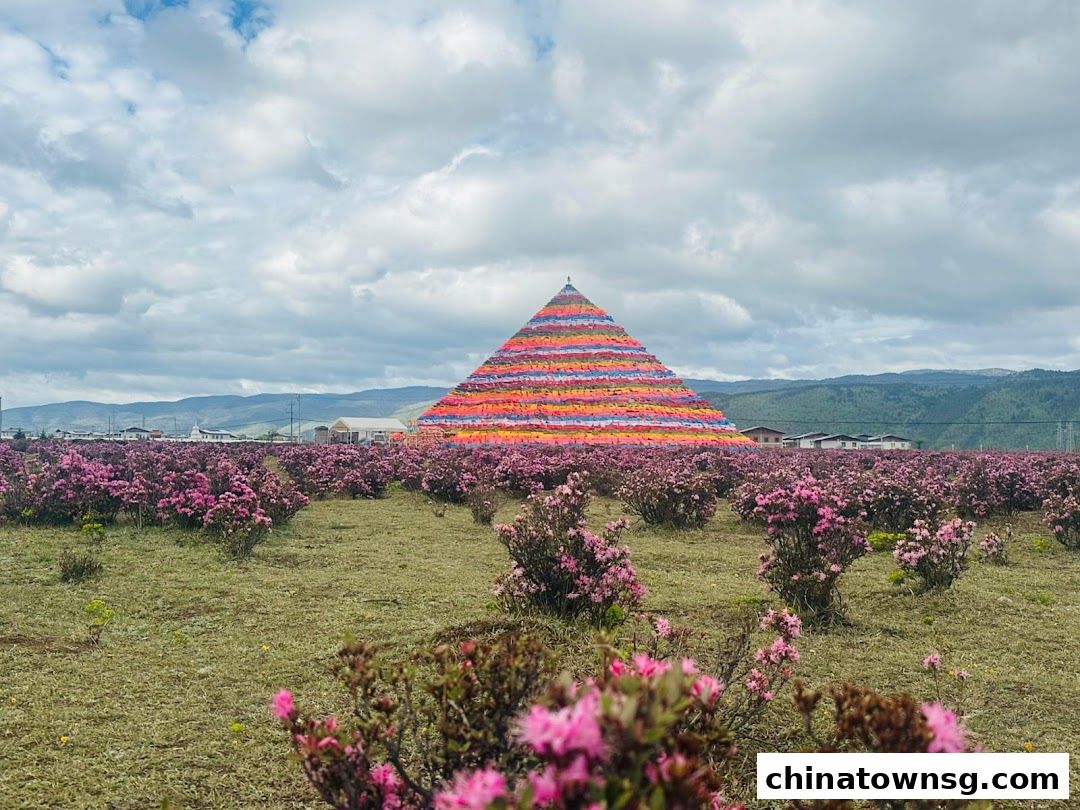 Commonwealth Travel Service Corporation Pte Ltd