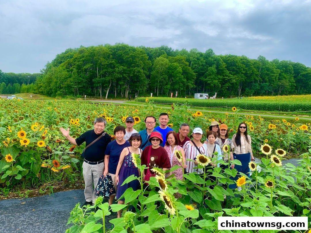 Commonwealth Travel Service Corporation Pte Ltd