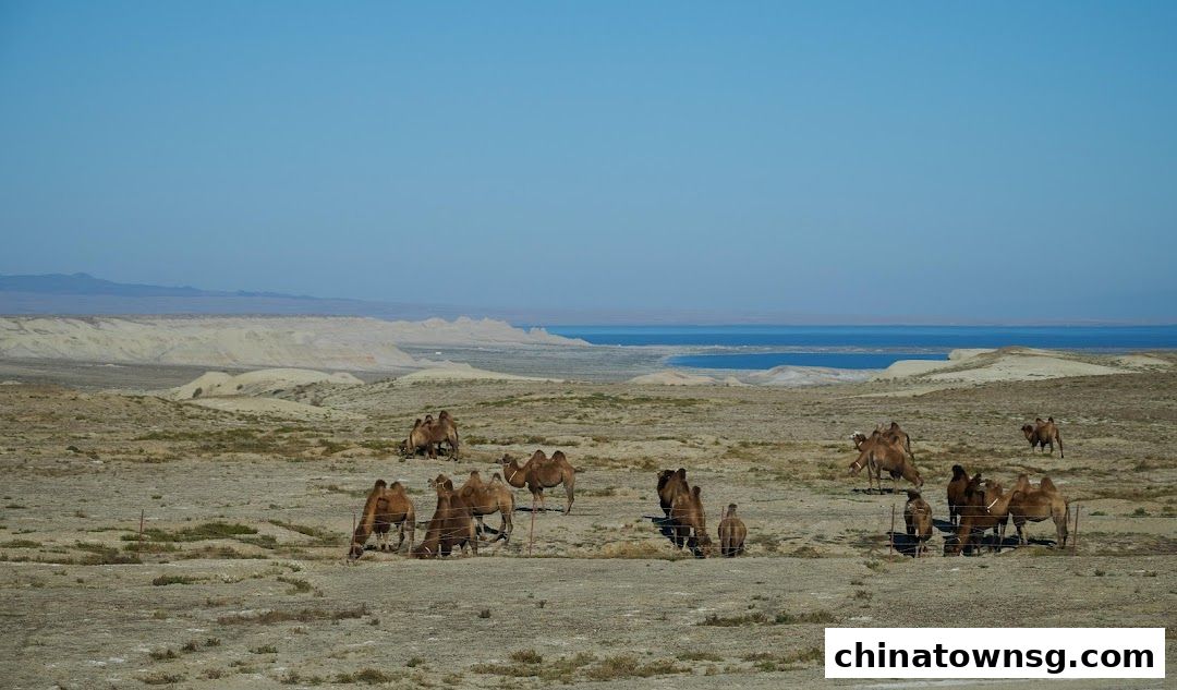 Commonwealth Travel Service Corporation Pte Ltd