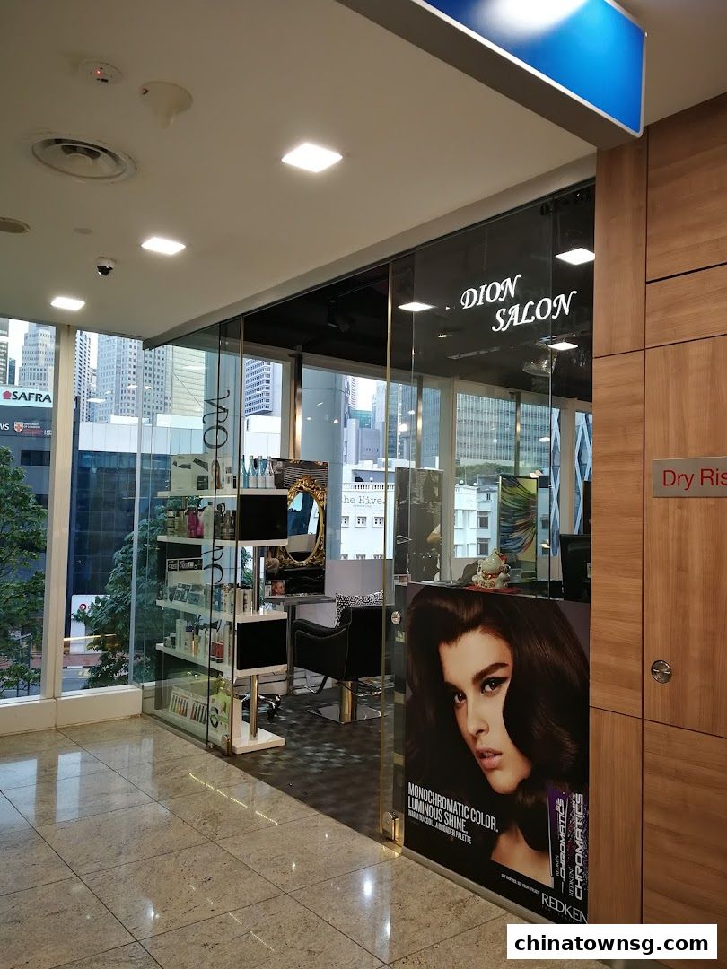 Dion Salon
