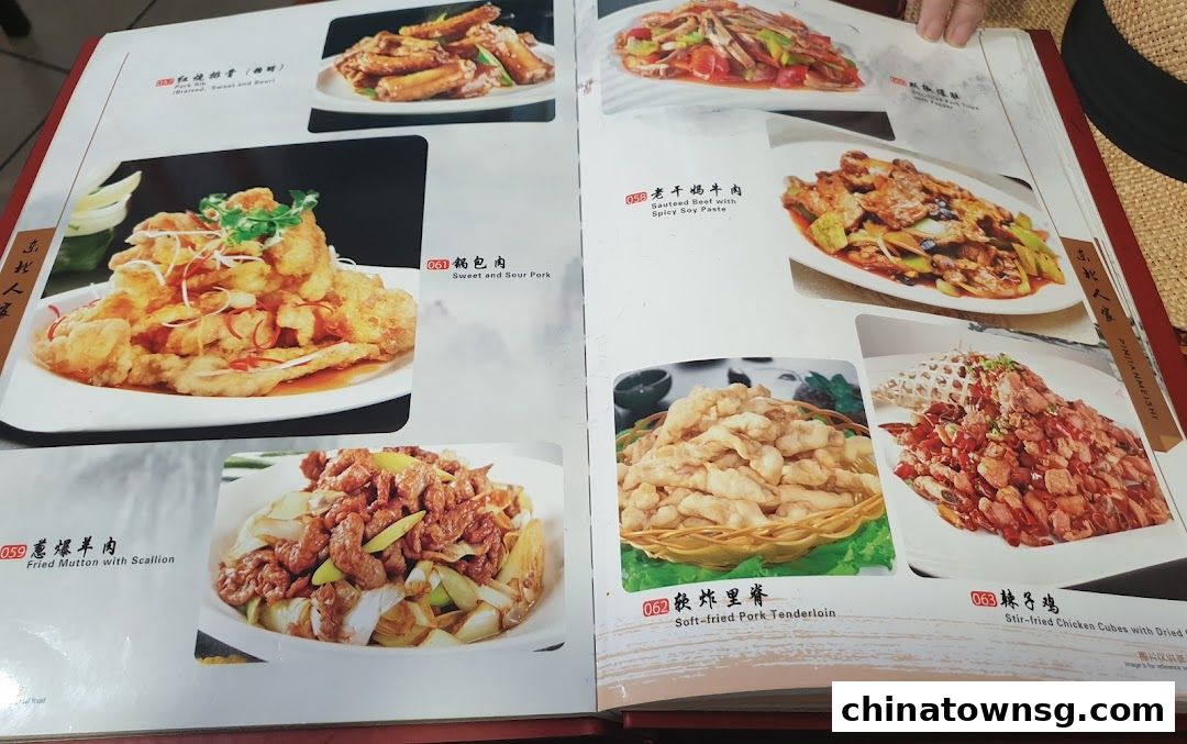 Dong Bei Ren Jia 东北人家