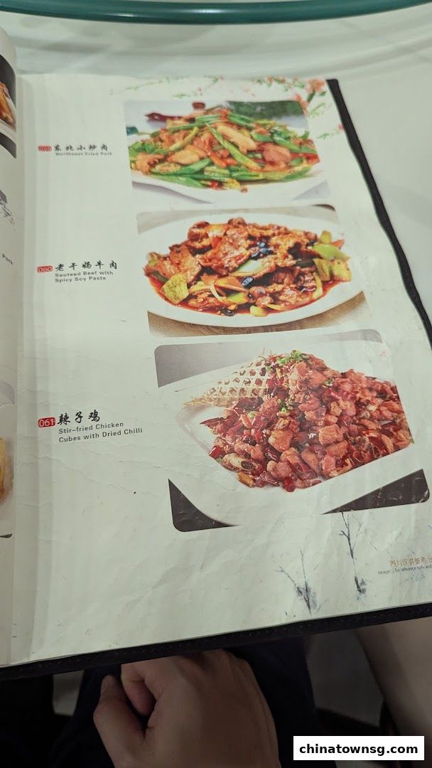 Dong Bei Ren Jia 东北人家