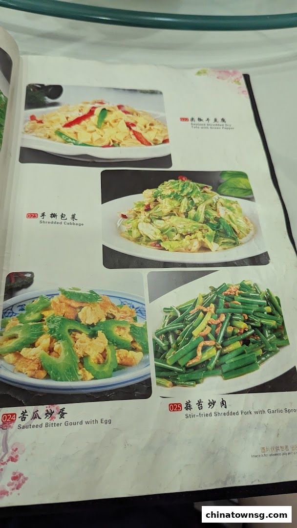 Dong Bei Ren Jia 东北人家