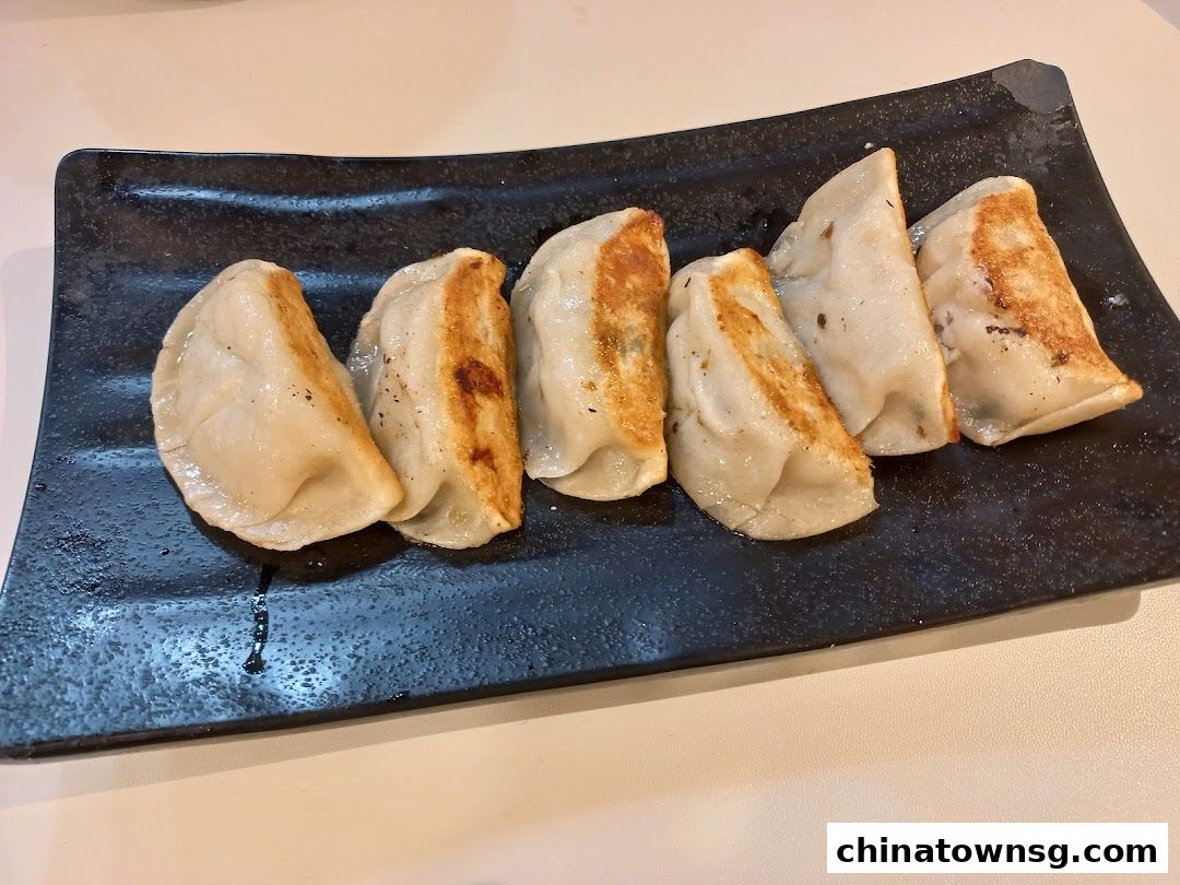 DumPrince Dumpling House  Chinatown Point