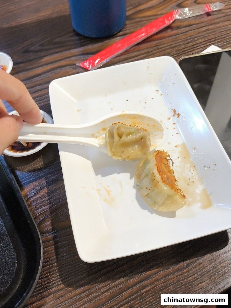 DumPrince Dumpling House  Chinatown Point