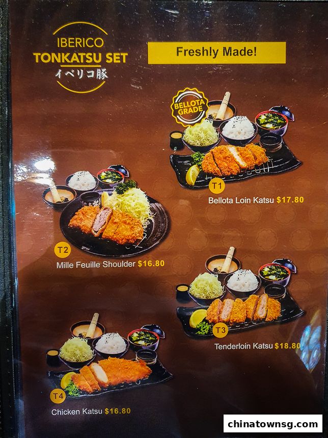 Gochi-So Shokudo Japanese Restaurant ごち惣食堂  Chinatown Point