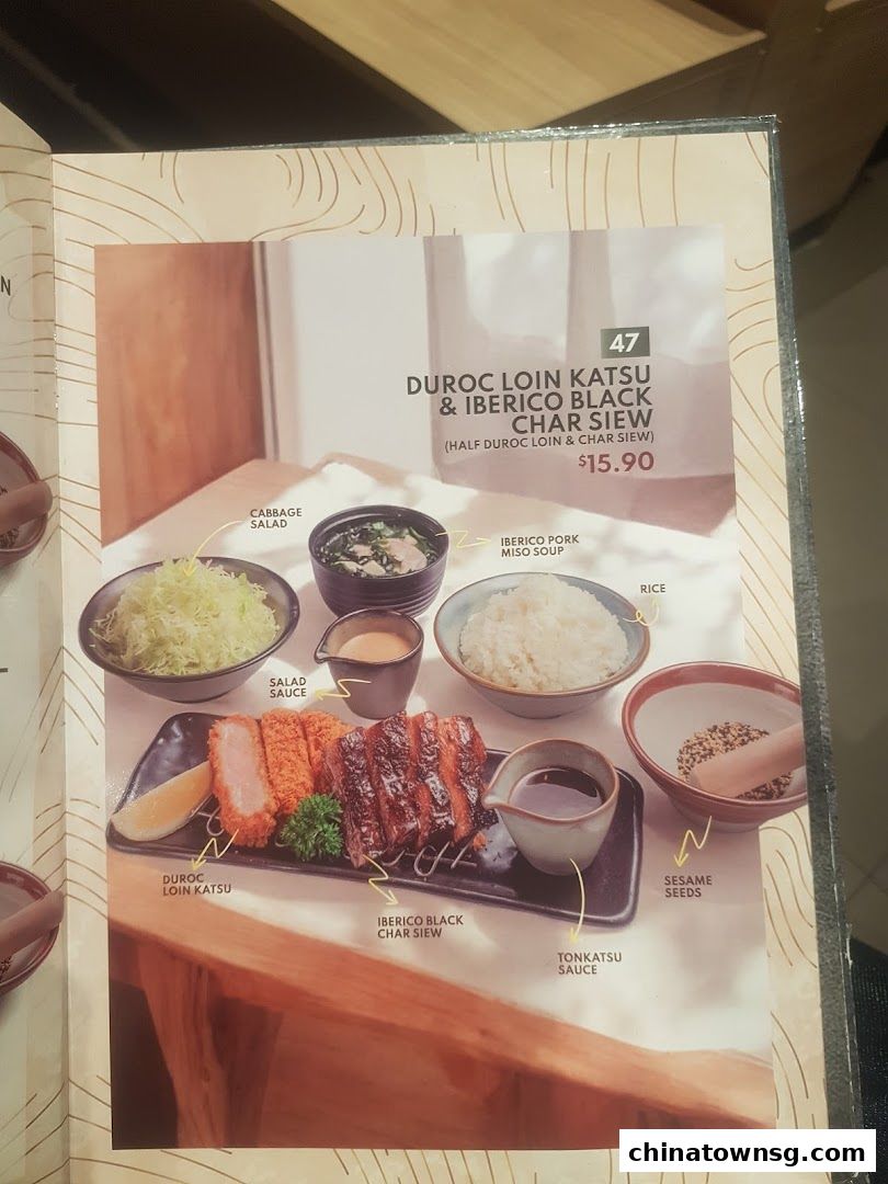 Gochi-So Shokudo Japanese Restaurant ごち惣食堂  Chinatown Point