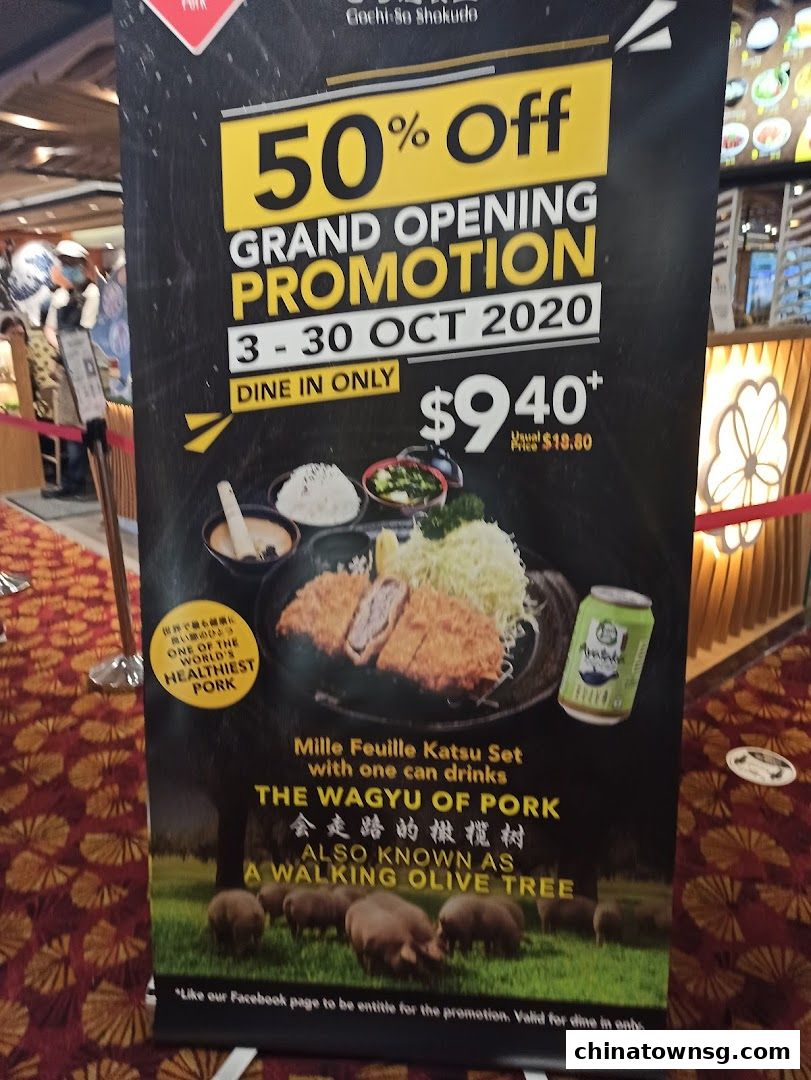 Gochi-So Shokudo Japanese Restaurant ごち惣食堂  Chinatown Point