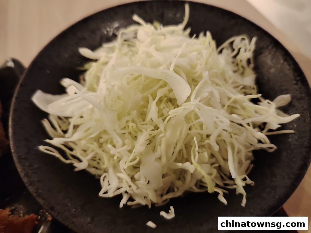 Gochi-So Shokudo Japanese Restaurant ごち惣食堂  Chinatown Point