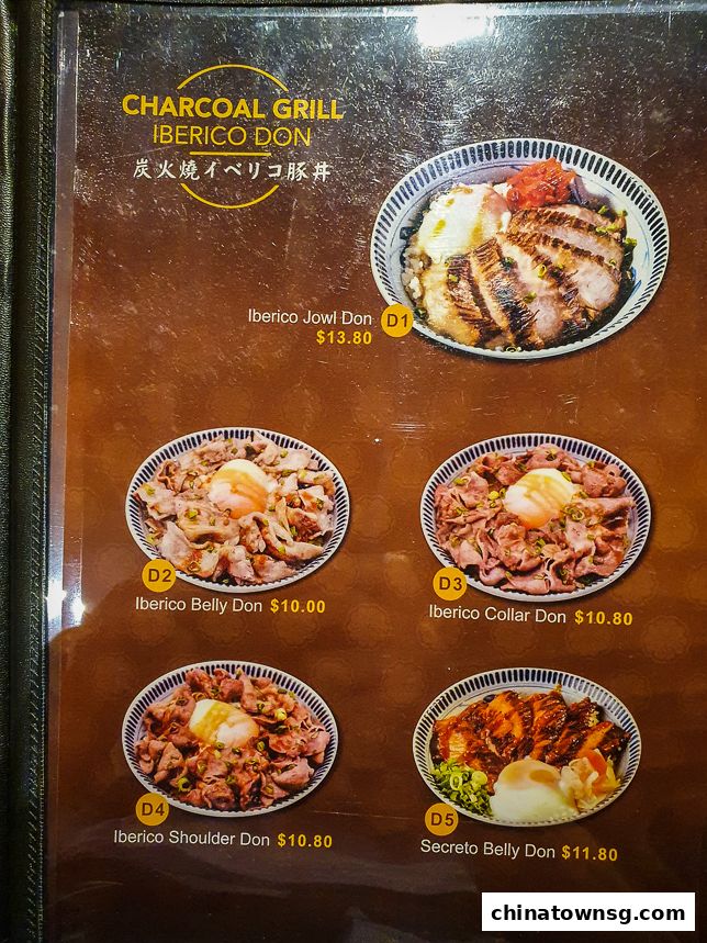 Gochi-So Shokudo Japanese Restaurant ごち惣食堂  Chinatown Point