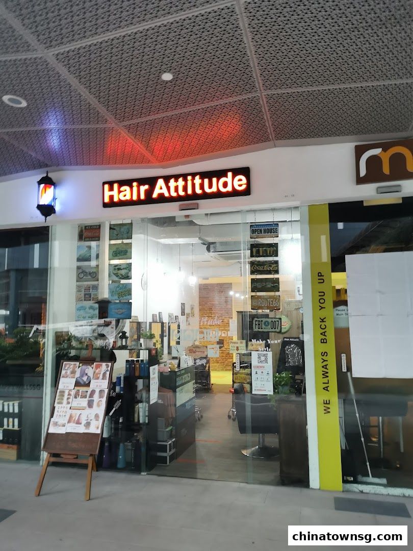 Hair Attitude