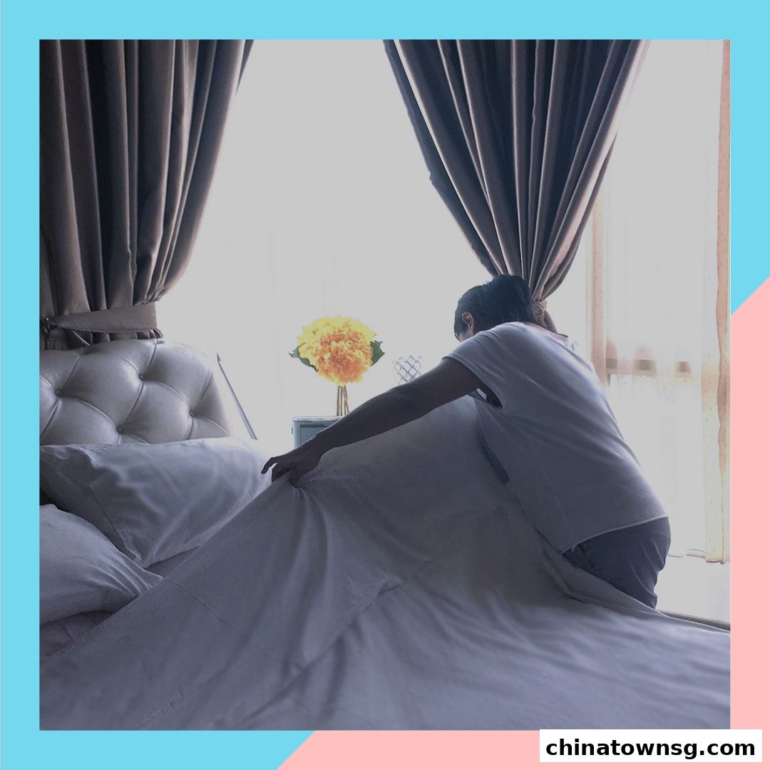 Home Services - Lazy Pte Ltd