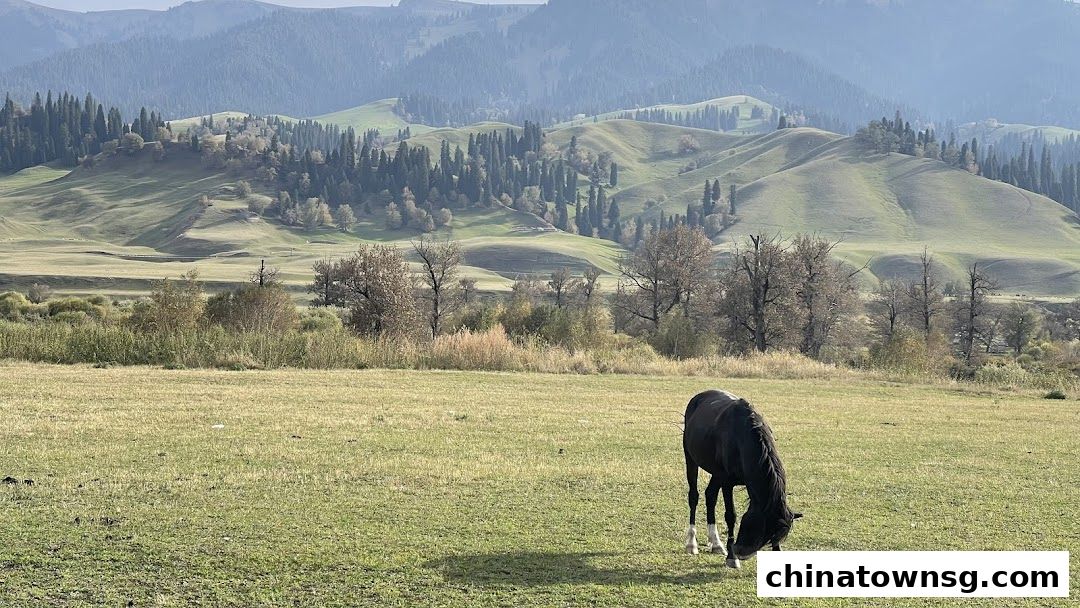 Jun-air Travel Pte Ltd