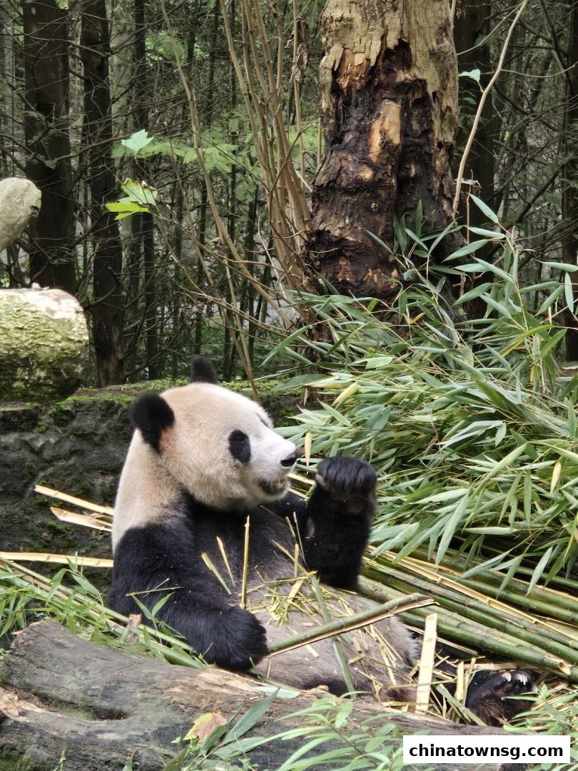 Jun-air Travel Pte Ltd