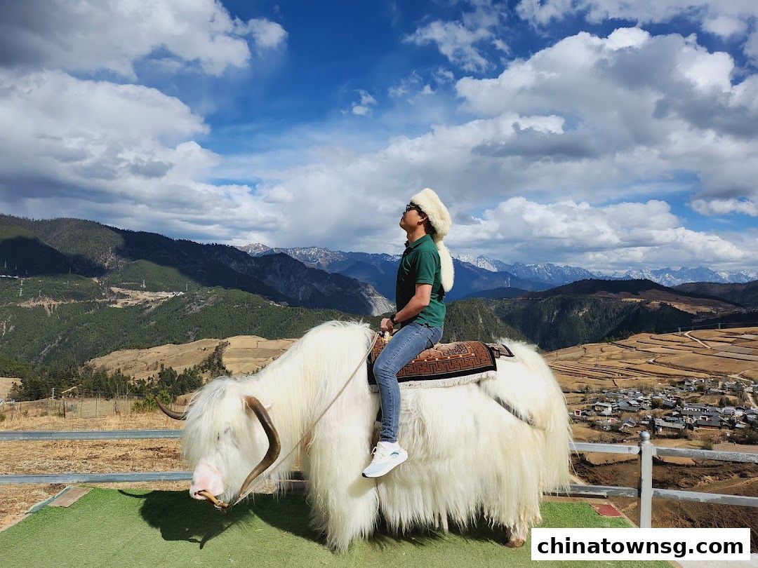 Jun-air Travel Pte Ltd