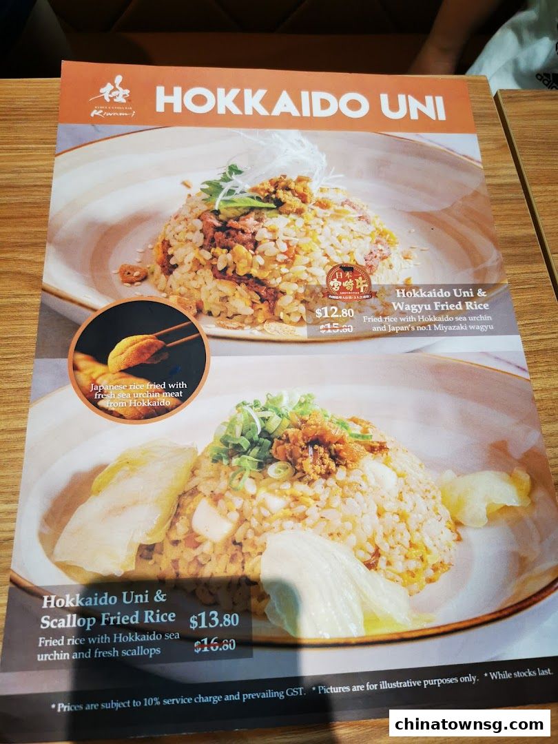 Kiwami Ramen  Gyoza Bar Chinatown Point