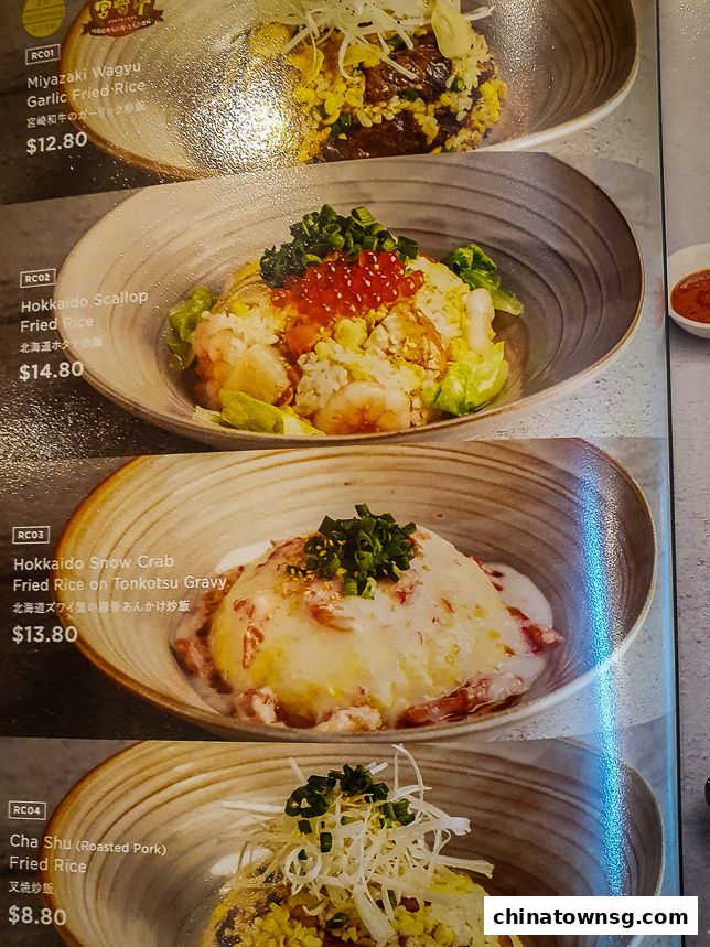 Kiwami Ramen  Gyoza Bar Chinatown Point