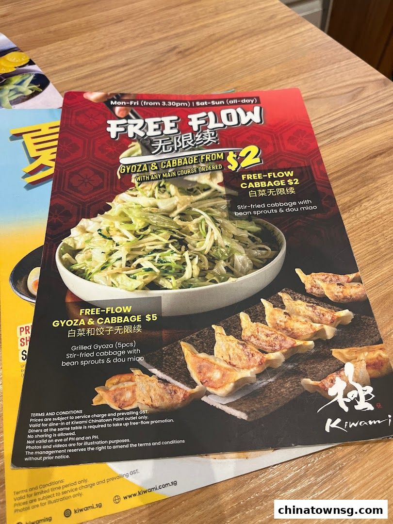 Kiwami Ramen  Gyoza Bar Chinatown Point