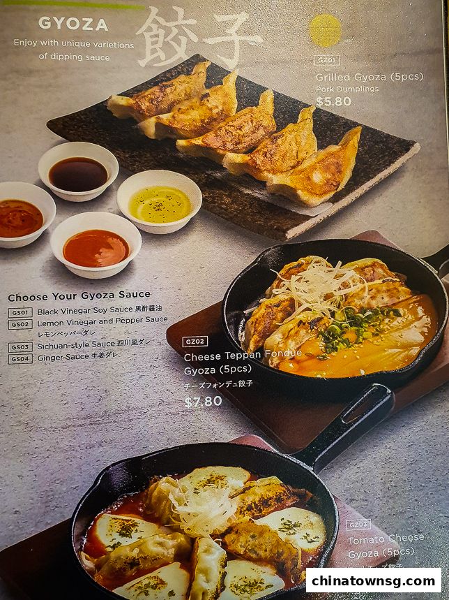 Kiwami Ramen  Gyoza Bar Chinatown Point