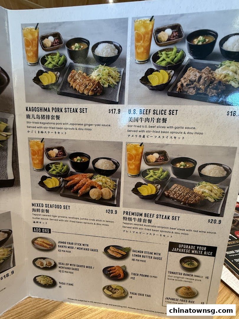 Kiwami Ramen  Gyoza Bar Chinatown Point