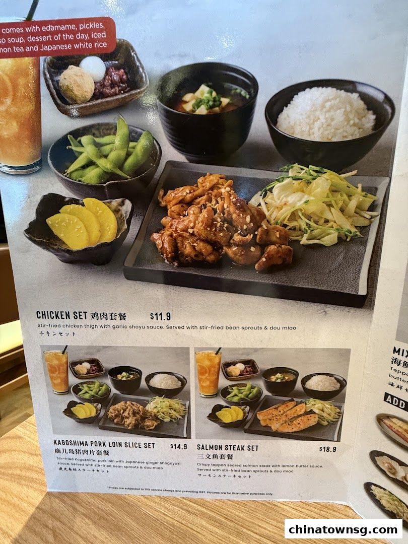 Kiwami Ramen  Gyoza Bar Chinatown Point