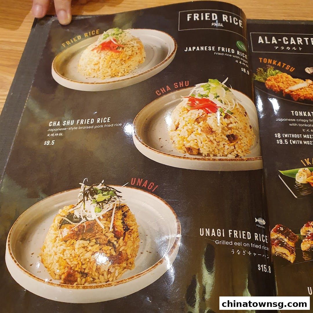 Kiwami Ramen  Gyoza Bar Chinatown Point