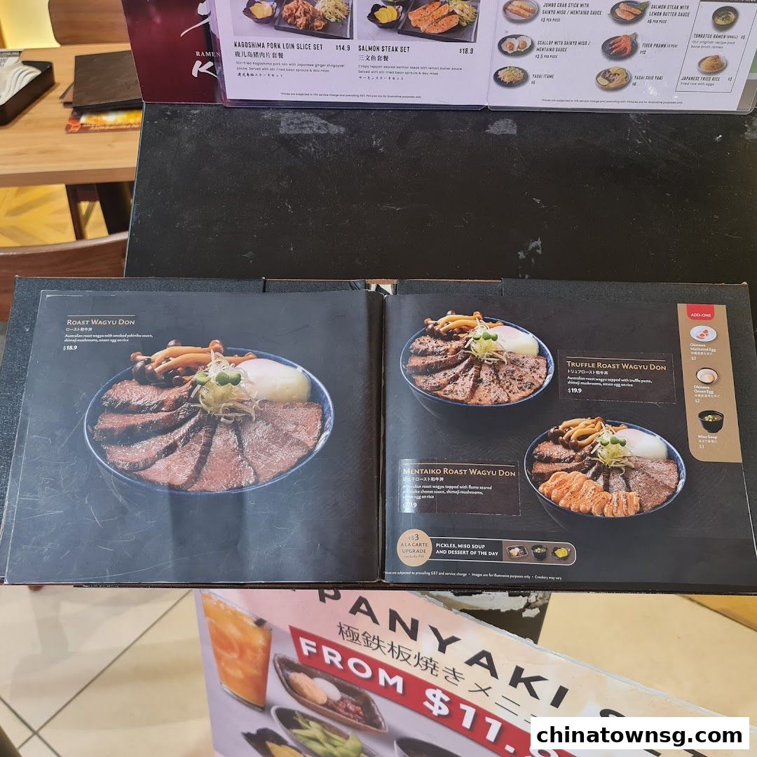 Kiwami Ramen  Gyoza Bar Chinatown Point