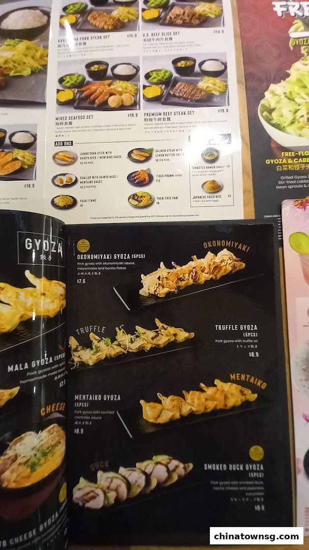 Kiwami Ramen  Gyoza Bar Chinatown Point