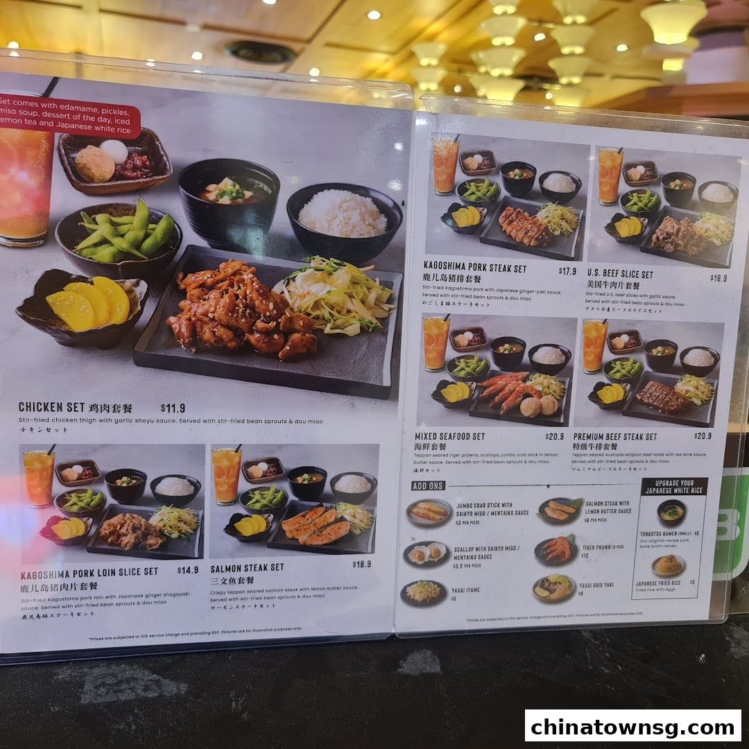 Kiwami Ramen  Gyoza Bar Chinatown Point