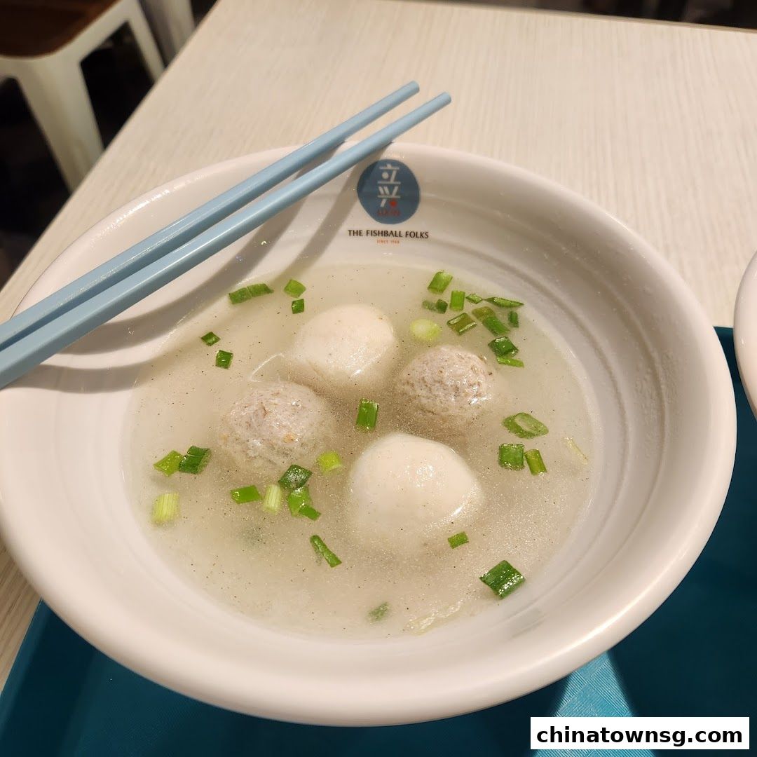 LiXin Teochew Fishball Noodles - Chinatown Point