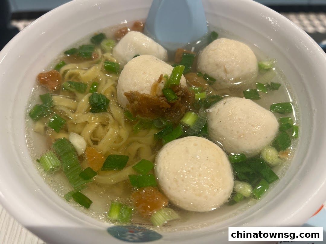 LiXin Teochew Fishball Noodles - Chinatown Point