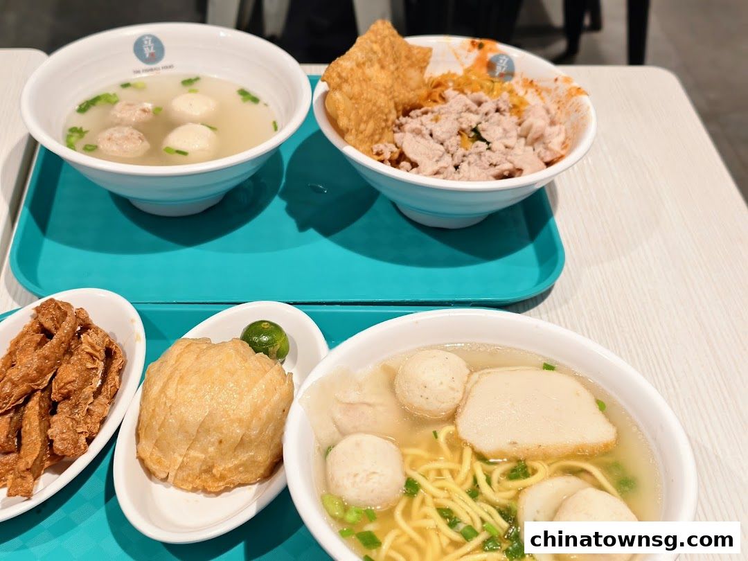 LiXin Teochew Fishball Noodles - Chinatown Point