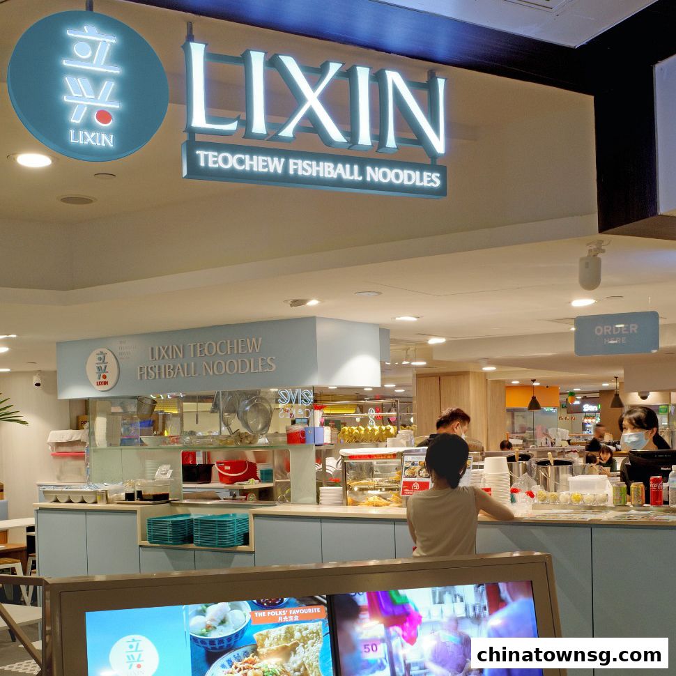 LiXin Teochew Fishball Noodles - Chinatown Point