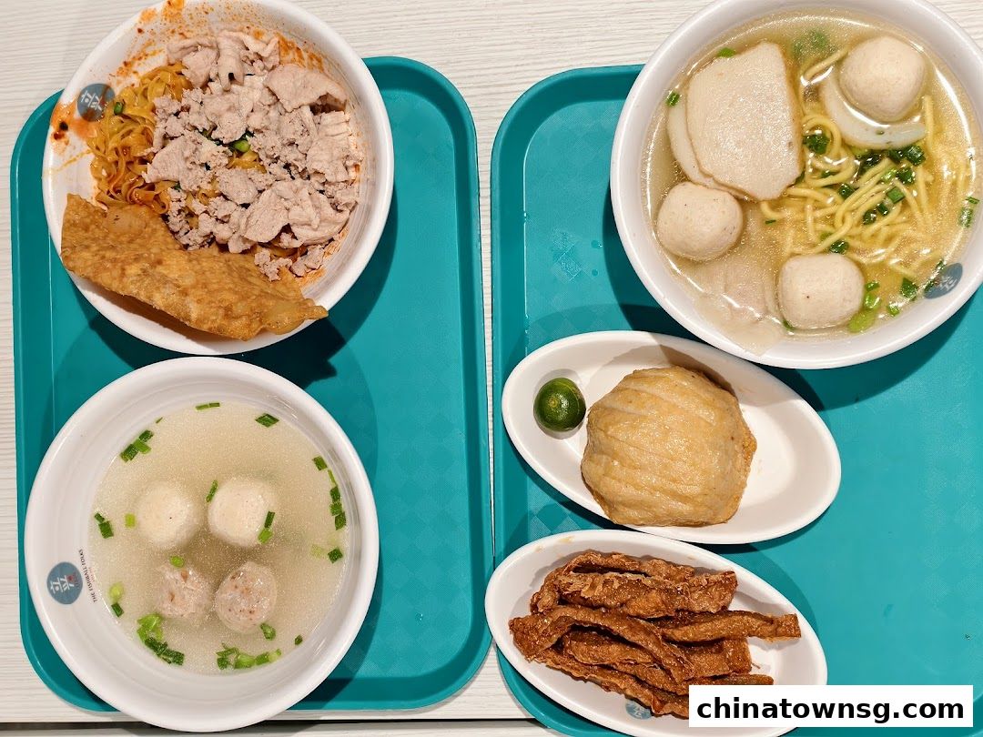 LiXin Teochew Fishball Noodles - Chinatown Point