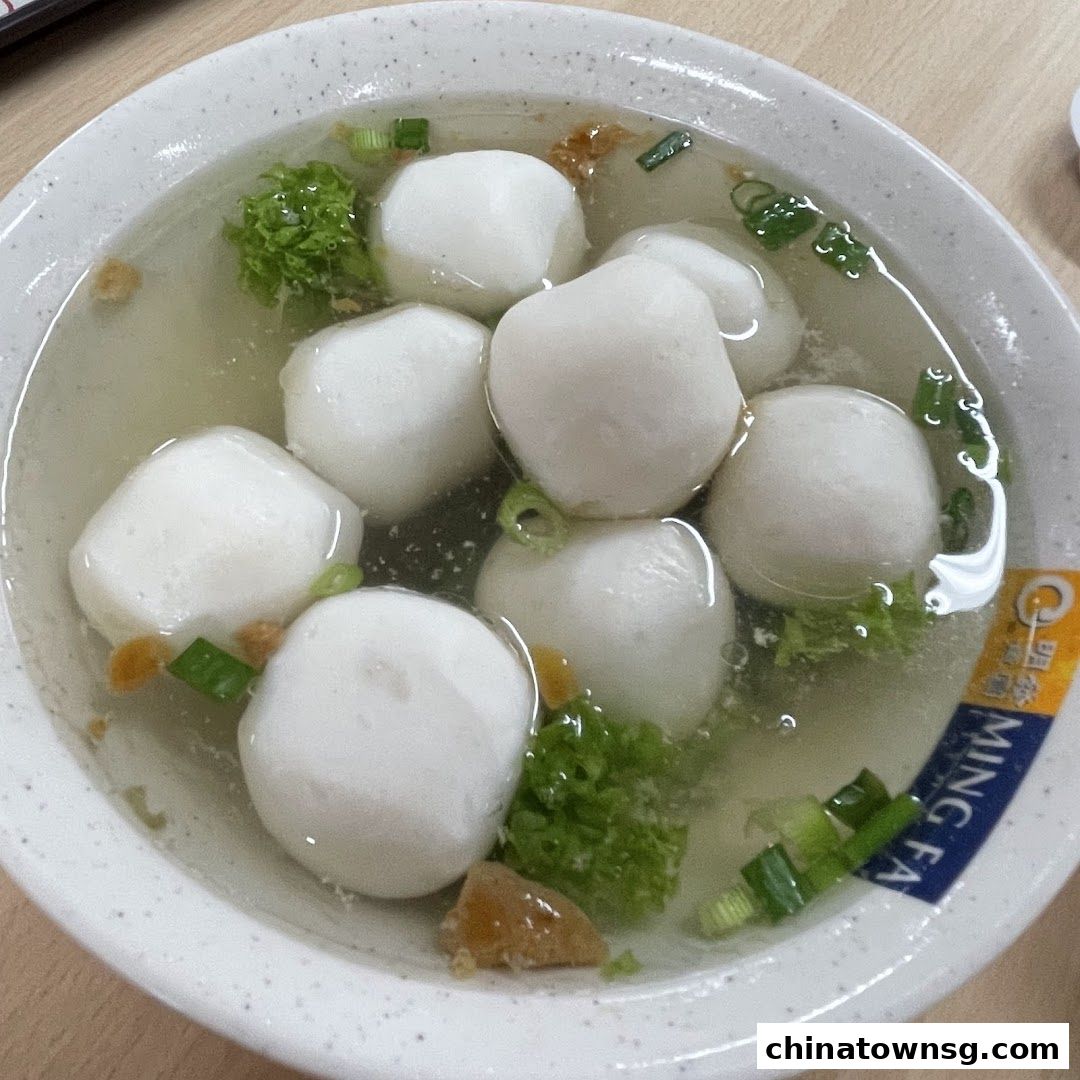 Ming Fa Fishball  Chinatown