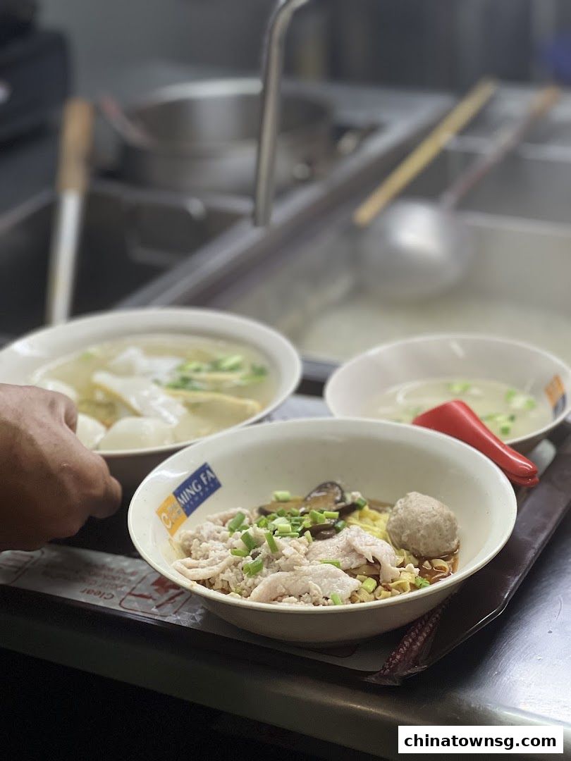 Ming Fa Fishball  Chinatown