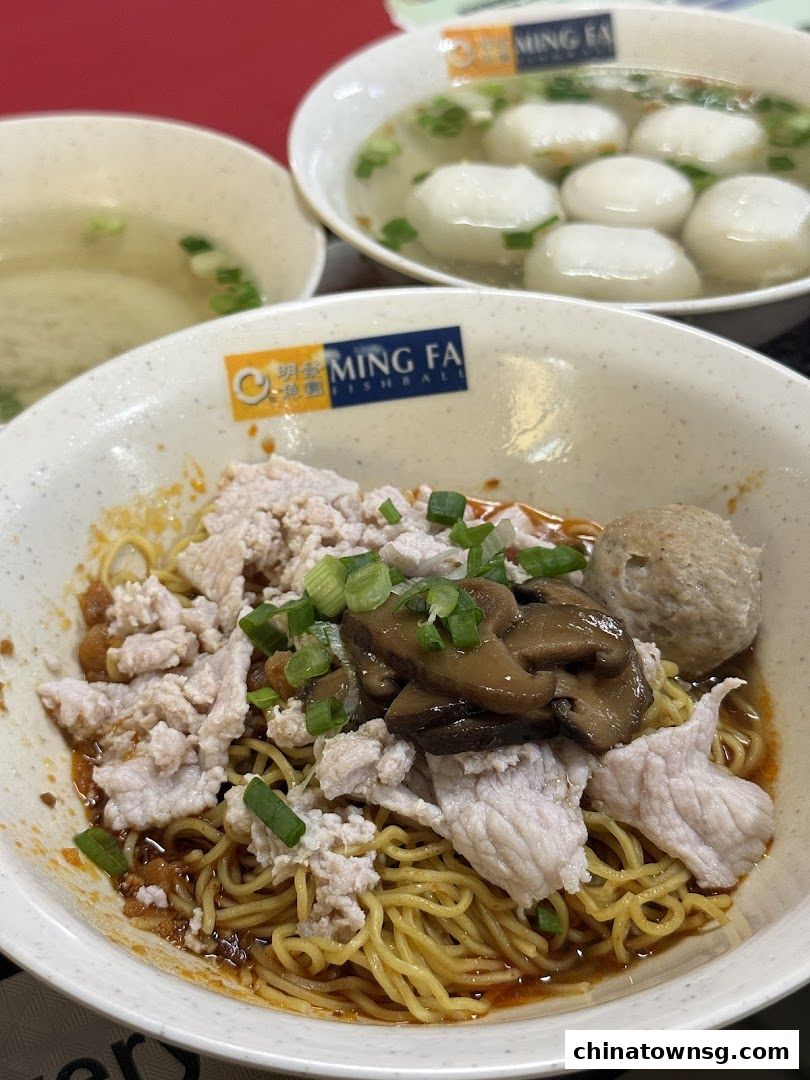 Ming Fa Fishball  Chinatown