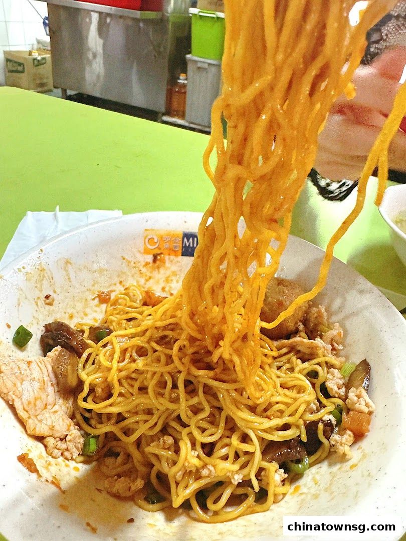 Ming Fa Fishball  Chinatown