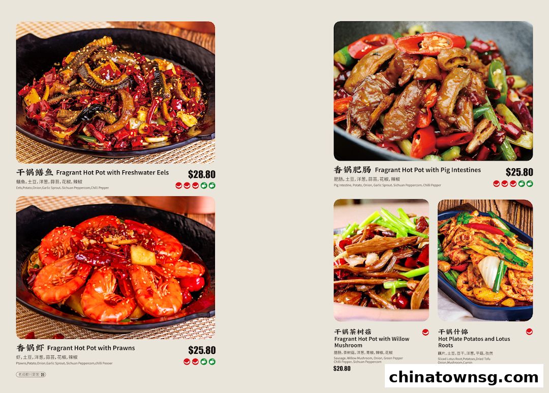 Old Chengdu Sichuan Cuisine Restaurant